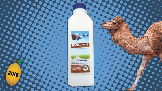 shonkys 2016 camel milk